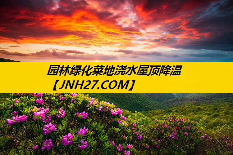 园林绿化菜地浇水屋顶降温