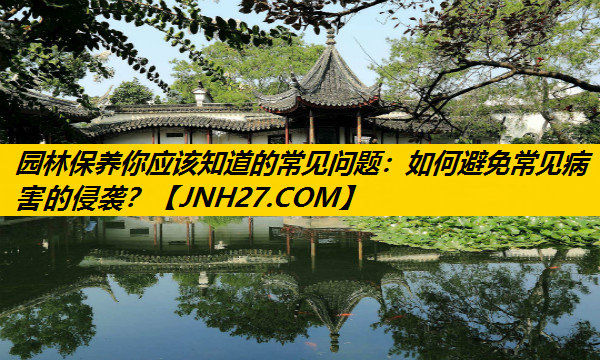 园林保养你应该知道的常见问题：如何避免常见病害的侵袭？