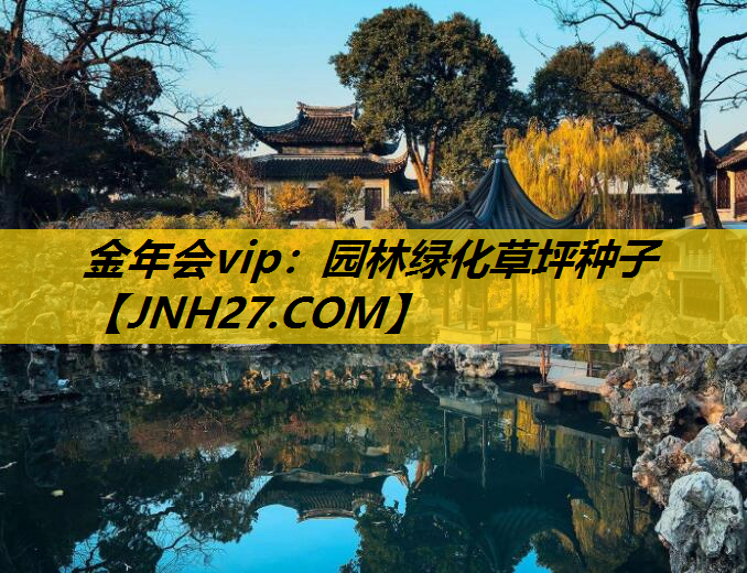 园林绿化草坪种子