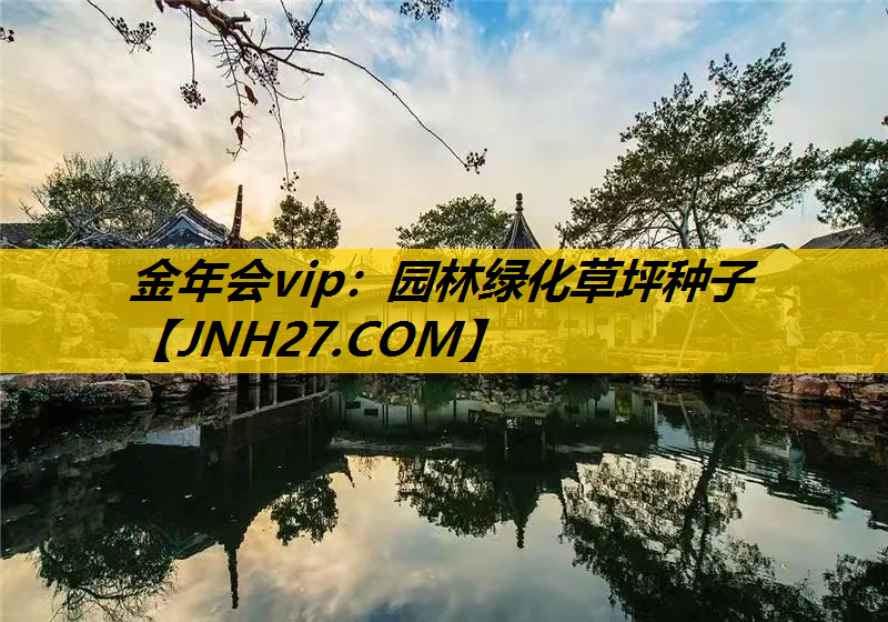 园林绿化草坪种子