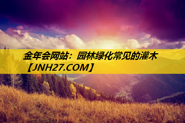 园林绿化常见的灌木