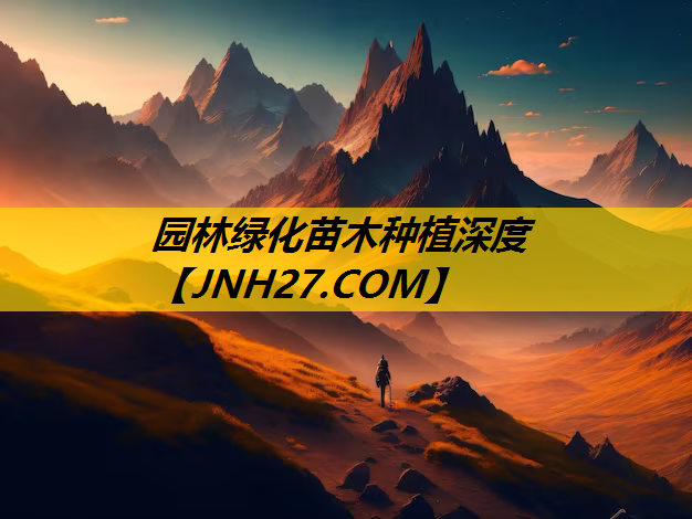 园林绿化苗木种植深度