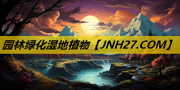 园林绿化湿地植物