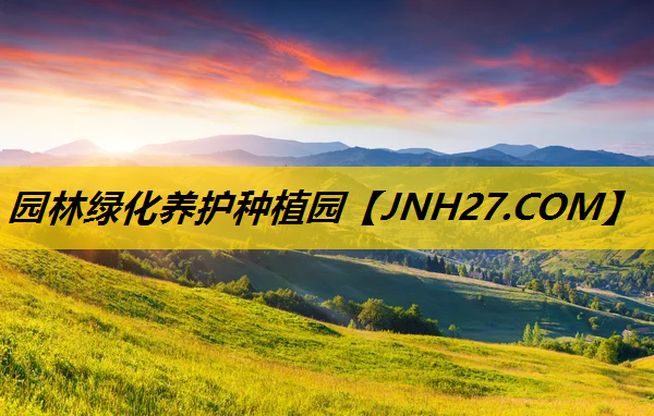 园林绿化养护种植园