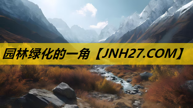 园林绿化的一角