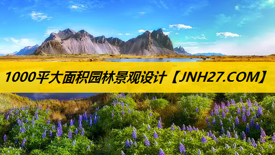 1000平大面积园林景观设计
