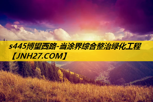 s445博望西路-当涂界综合整治绿化工程
