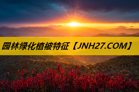 园林绿化植被特征