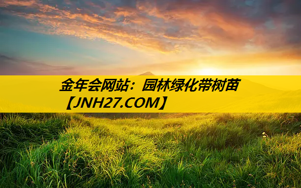 园林绿化带树苗