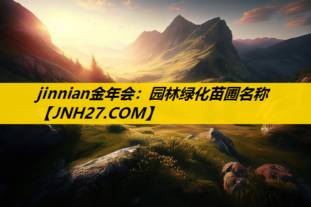 园林绿化苗圃名称