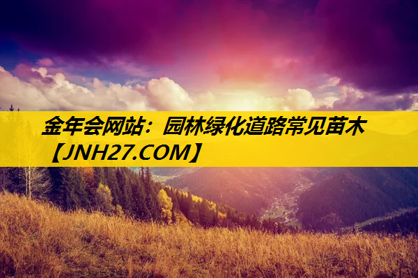 园林绿化道路常见苗木