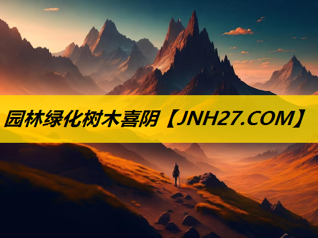 园林绿化树木喜阴