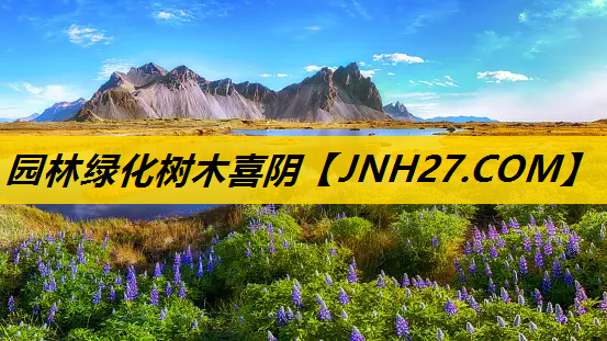 园林绿化树木喜阴