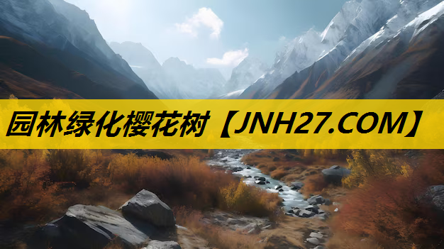 园林绿化樱花树