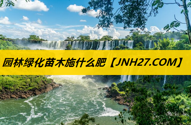 园林绿化苗木施什么肥