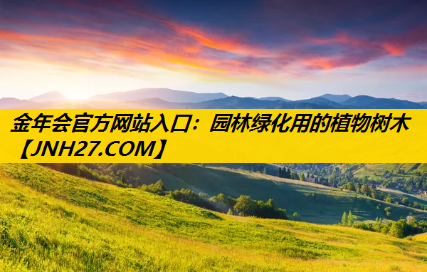 园林绿化用的植物树木