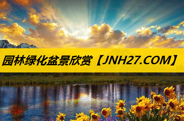 园林绿化盆景欣赏
