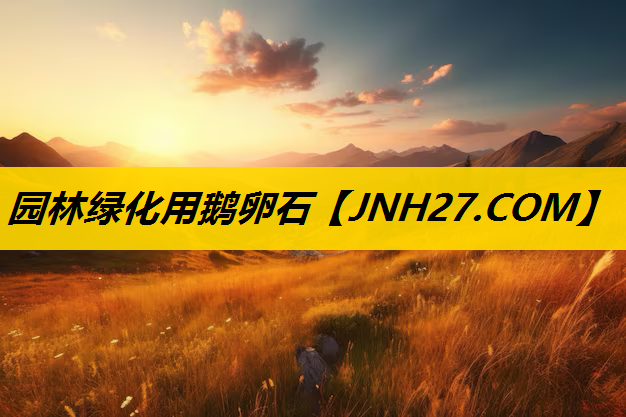 园林绿化用鹅卵石